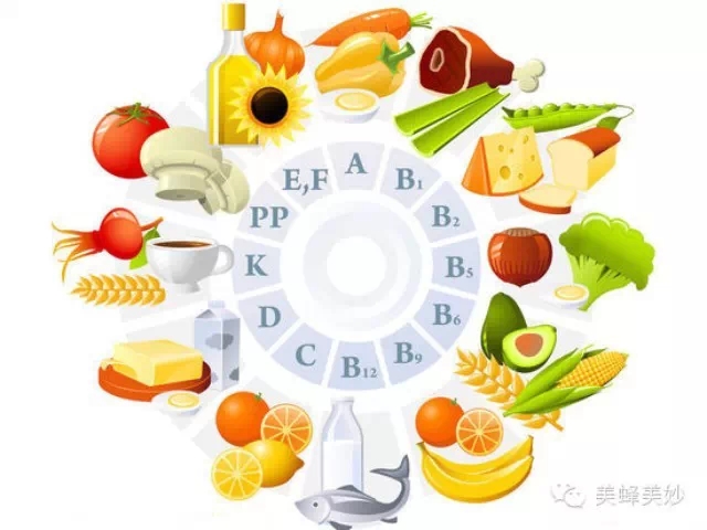 食物中的营养元素