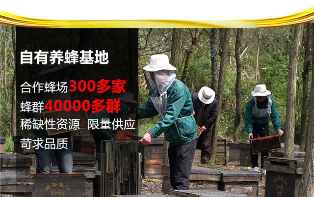 自有养蜂基地
